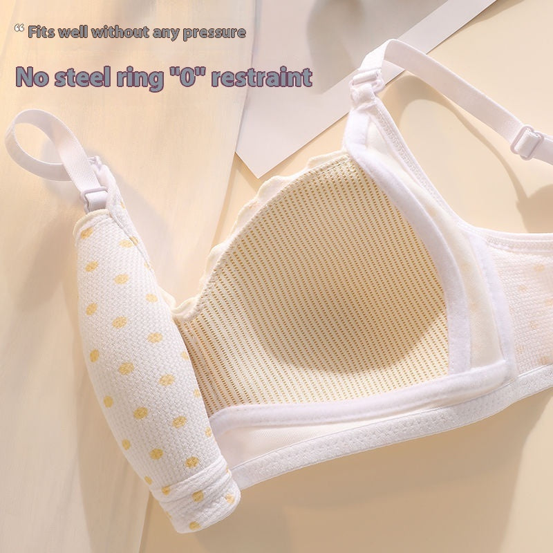 Soft Floral Lace Seamless Comfort Bra Anti-slip Bra No Steel Ring Gathering Bra