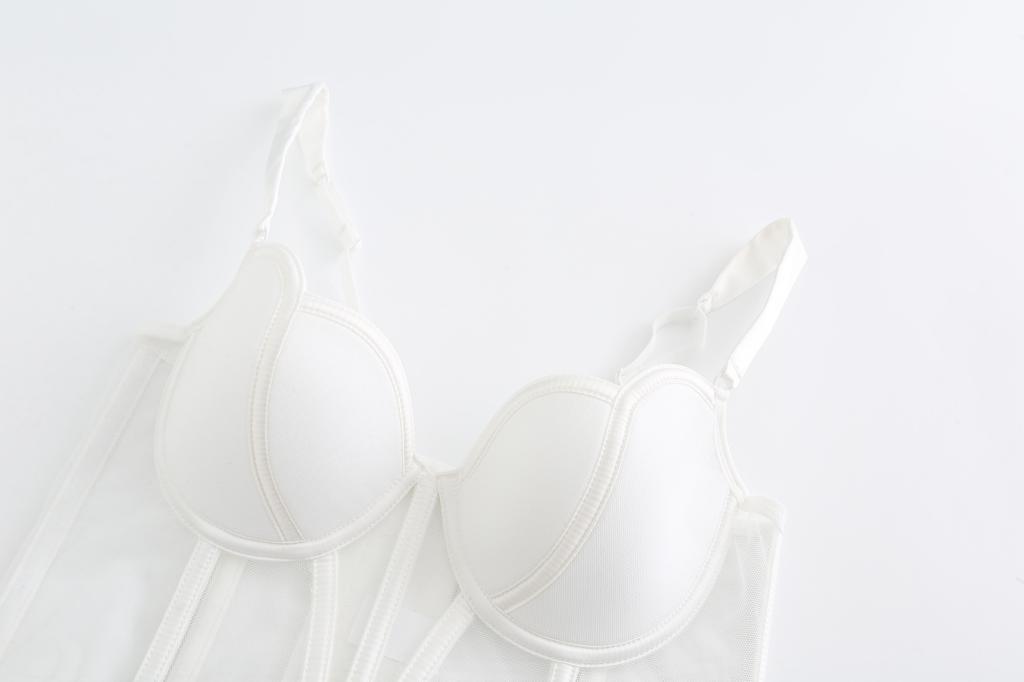 Mesh Bustier Bra & Panty Set - Sheer Underwire Lingerie Fishbone Bra Mesh Stitching Vest For Women