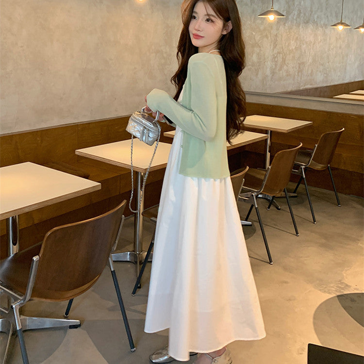 Temperament Waist-slimming Resort Style Dress