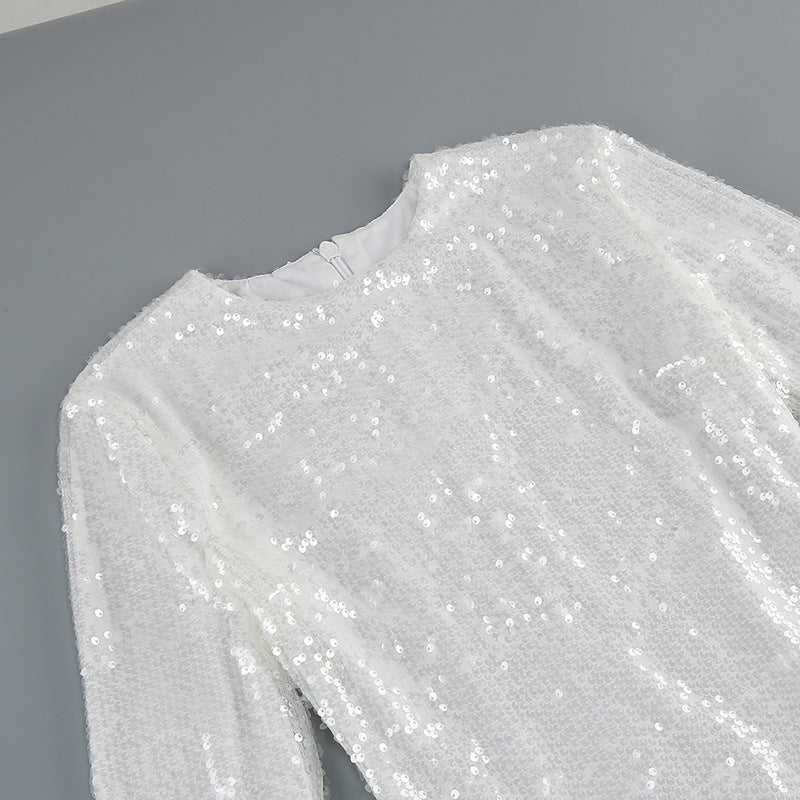 Fashion Temperament Crew Neck Casual Feather Long Sleeve Sequins Dress For Women's