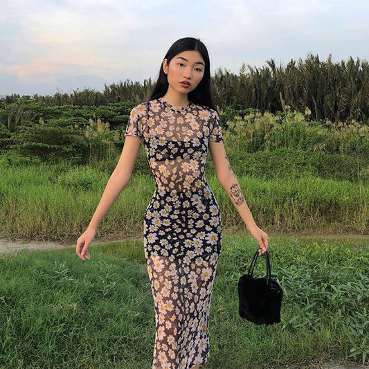 French Retro Slim Mesh See-Through Daisy Dress