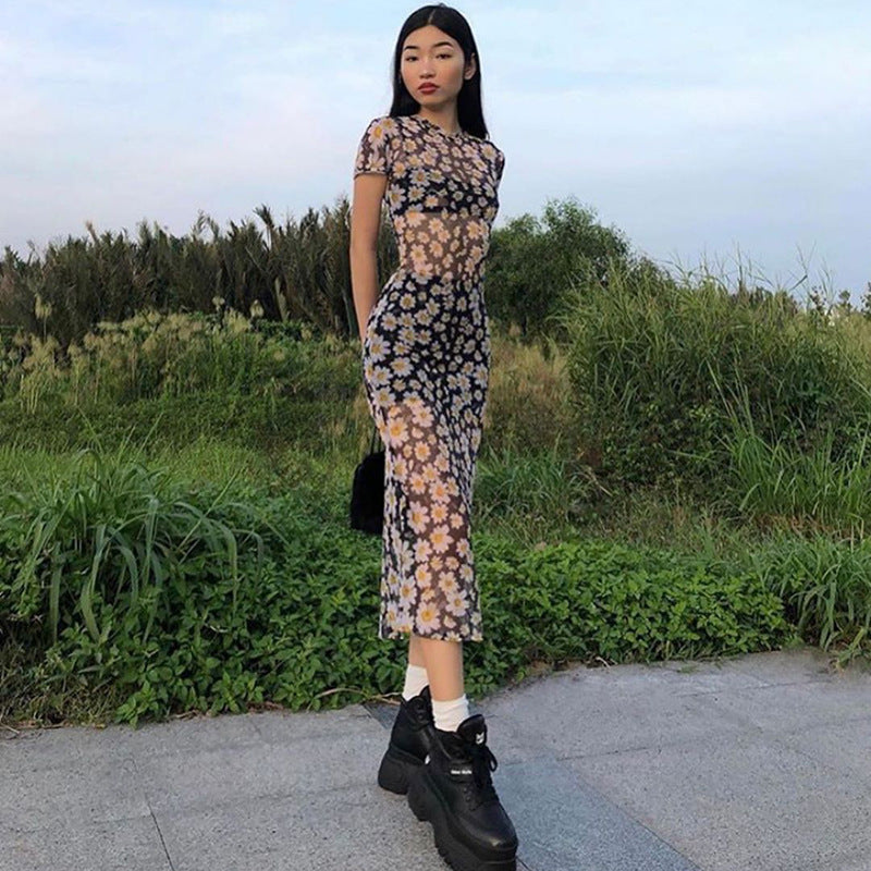 French Retro Slim Mesh See-Through Daisy Dress